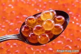 تصویر 1 از قیمت خرید خاویار ماهی قرمز + فروش ویژه